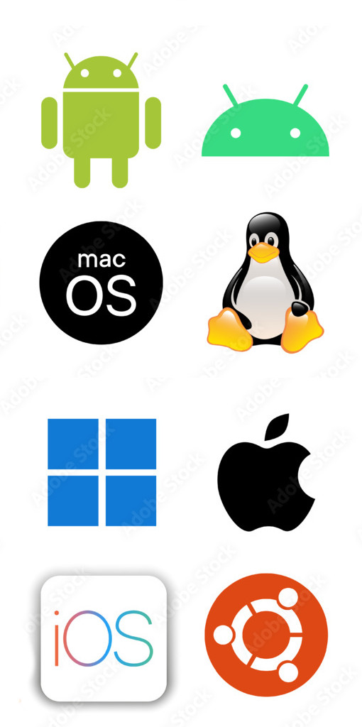 Formação acadêmica